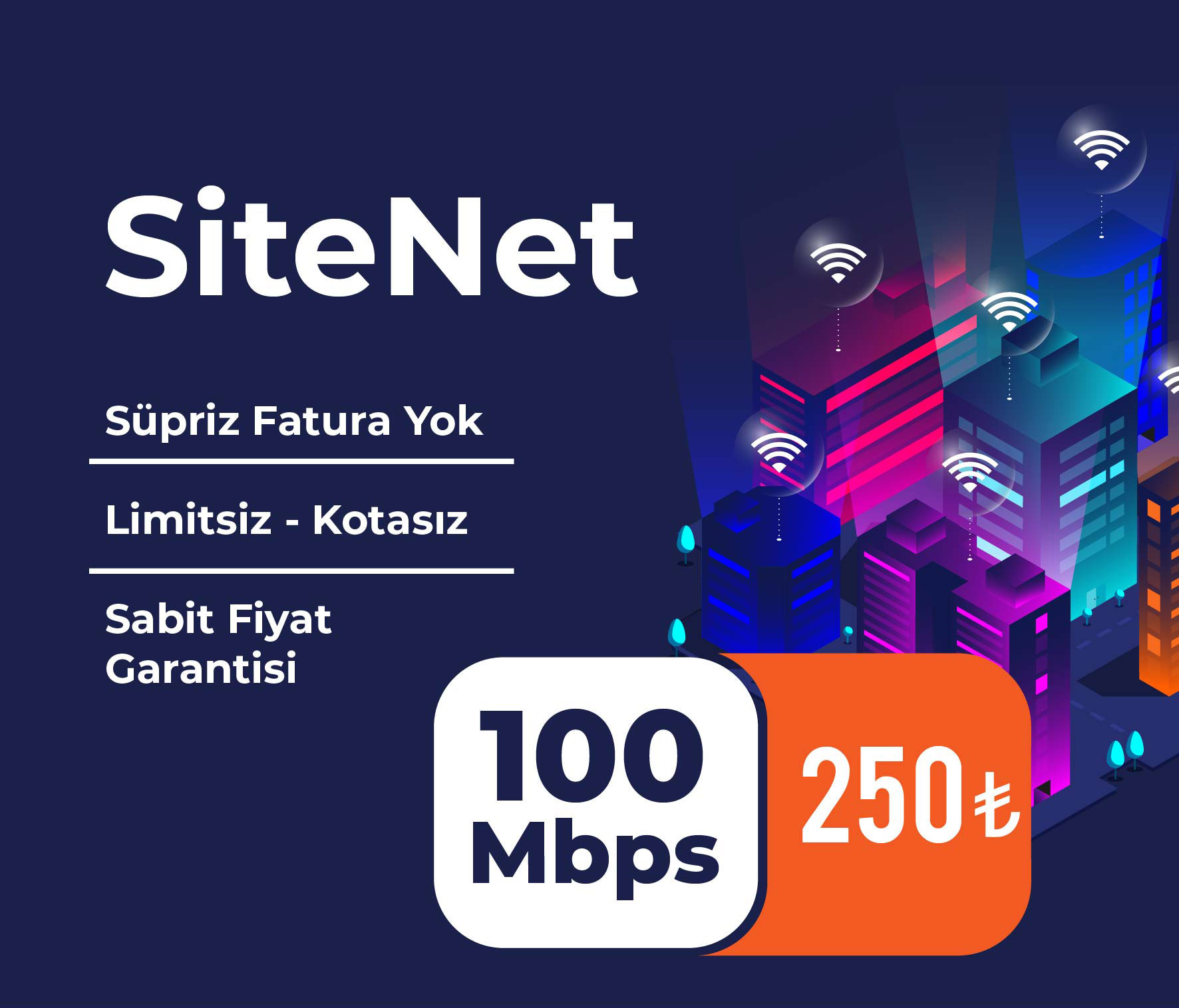 SiteNet 100 Mbps görseli
