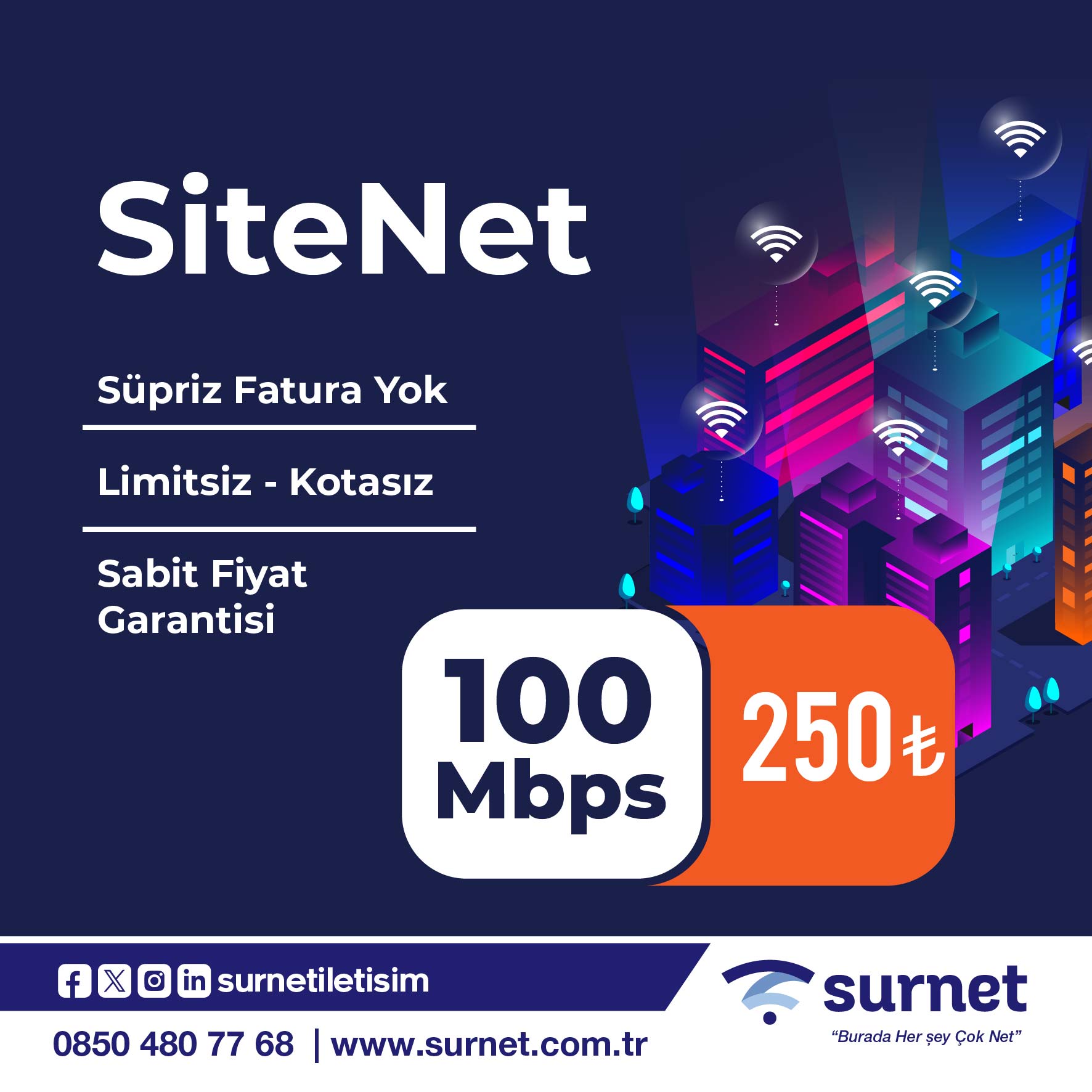 SiteNet 100 Mbps